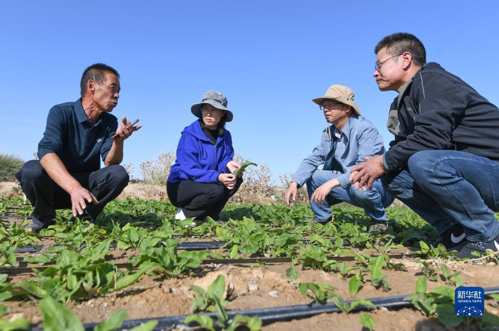 澳门英皇手机版官方网站